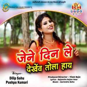 Listen to Jene Din Le Dekhew Tola Hay (Chhattisgarhi Geet) song with lyrics from Dilip Sahu