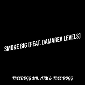 Album Smoke Big from Treedogg Mr. ATM