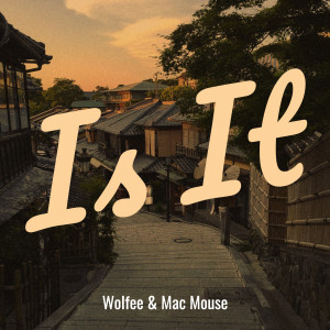 Listen to Is It (Explicit) song with lyrics from Wolfee