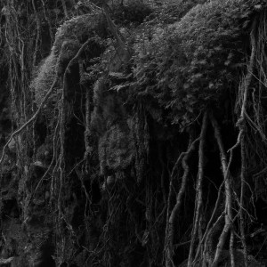 Album Sammalen asukkaat (Moss Critters) from Lauri Porra