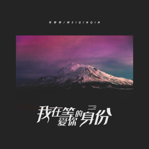 收聽韋琴琴的我在等愛你的身份 (伴奏)歌詞歌曲