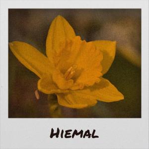 Dengarkan lagu Hiemal nyanyian Erce dengan lirik