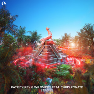 Listen to Strong (Original Mix) song with lyrics from Patrick Key