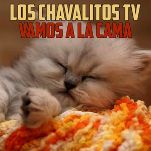 收聽Los Chavalitos TV的Vamos a la Cama歌詞歌曲