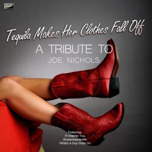 ดาวน์โหลดและฟังเพลง The Impossible พร้อมเนื้อเพลงจาก Ameritz Tribute Club