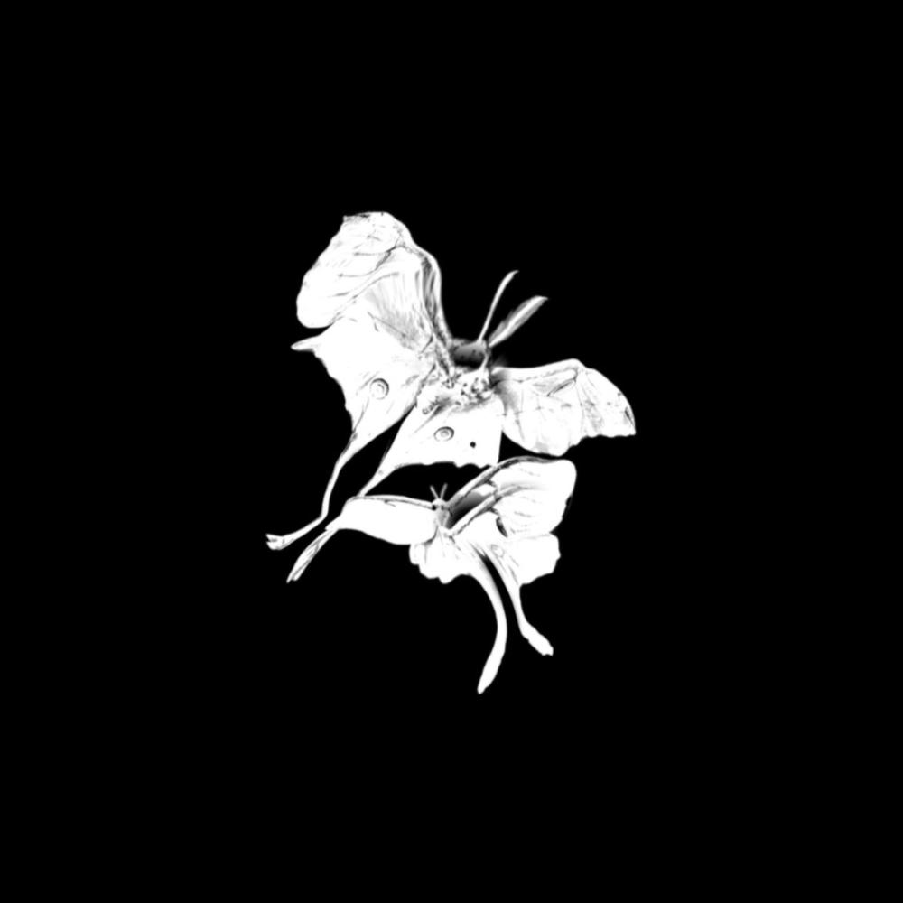 Yuhh (feat. Luvrello) (Explicit)