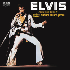 收聽Elvis Presley的Hound Dog (Live)歌詞歌曲