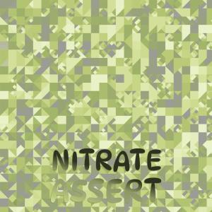 อัลบัม Nitrate Assert ศิลปิน Various