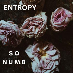 Entropy的專輯So Numb (Explicit)