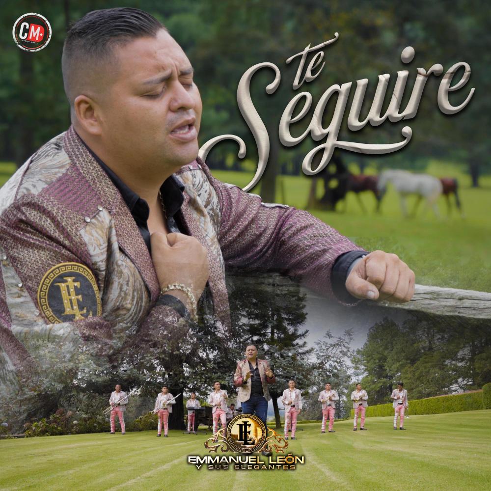 Te Seguire