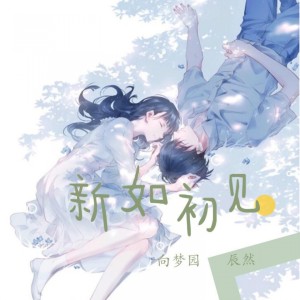 收听向思悦的新如初见 (伴奏)歌词歌曲