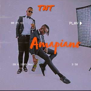 Album Amapiano from TNT Family