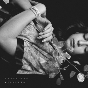 Dengarkan lagu Cotton and Strangers nyanyian Candelion dengan lirik
