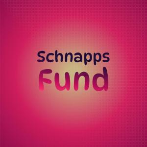 อัลบัม Schnapps Fund ศิลปิน Various