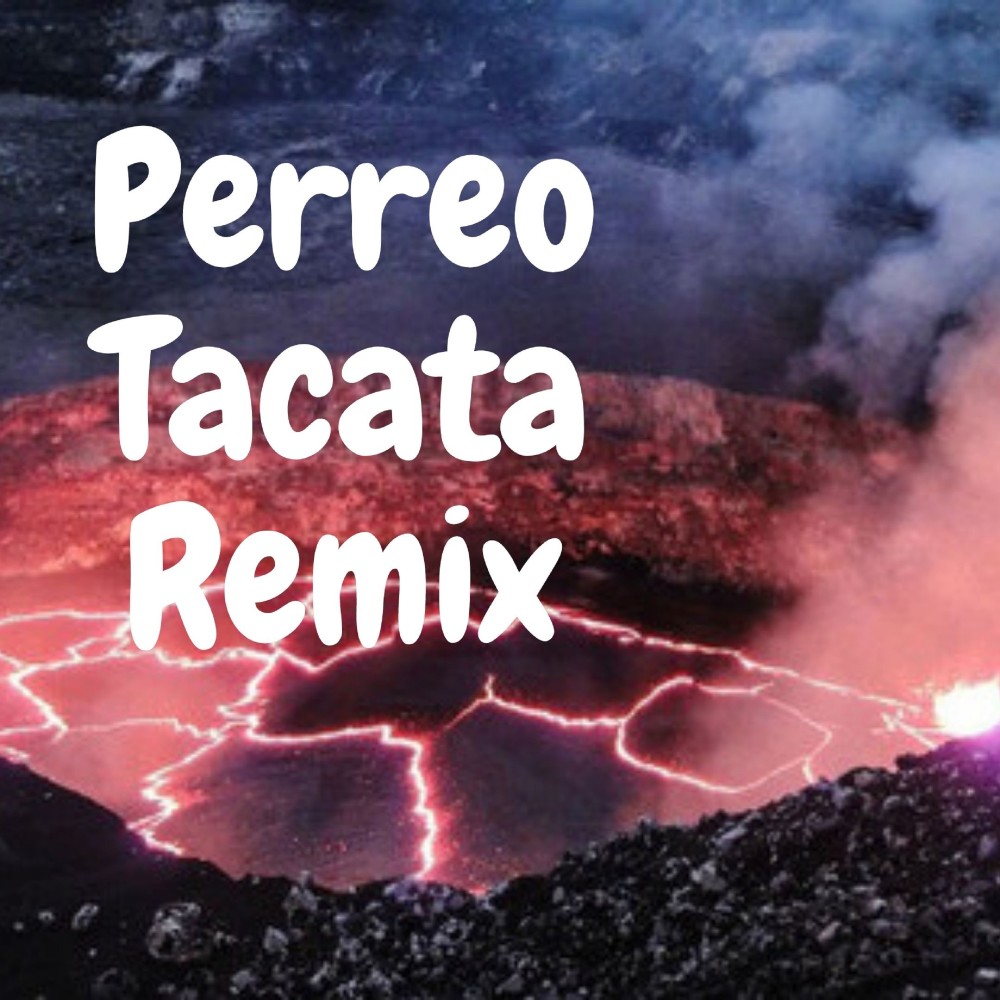 Perreo Tacata Remix