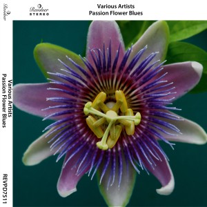 收听Cecile Devile的Passion Flower歌词歌曲