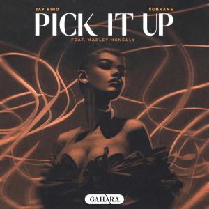 Listen to Pick It Up (feat. Marley McNealy) song with lyrics from Jay Bird
