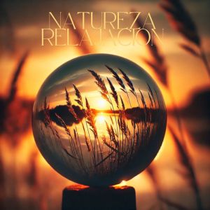 อัลบัม Natureza Relajacion ศิลปิน Maestros de música de la meditación