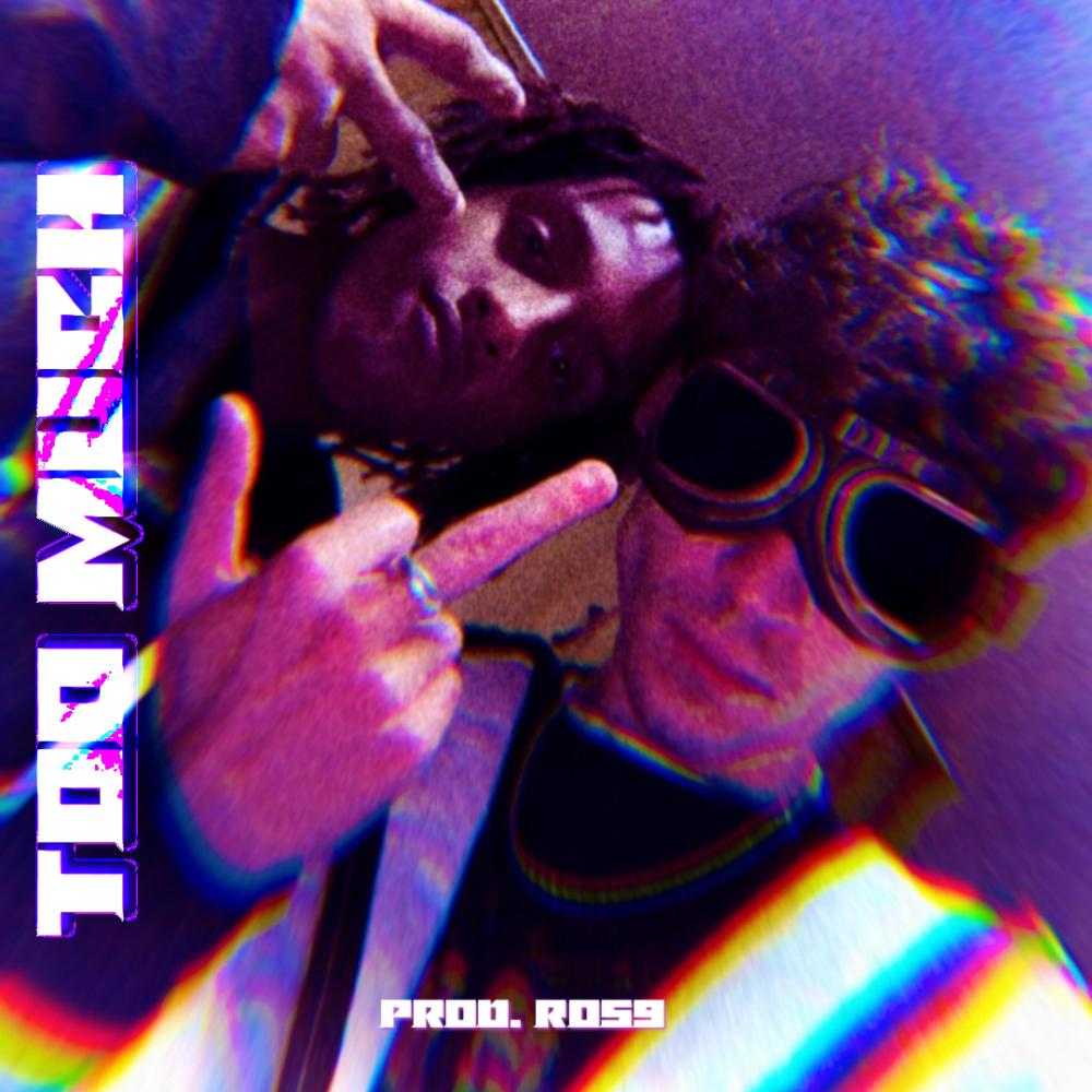 Too Much (feat. The Prince CMT) (Explicit)