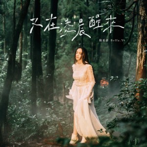 Album 又在凌晨醒来 oleh 杨采菲 Bella.Y