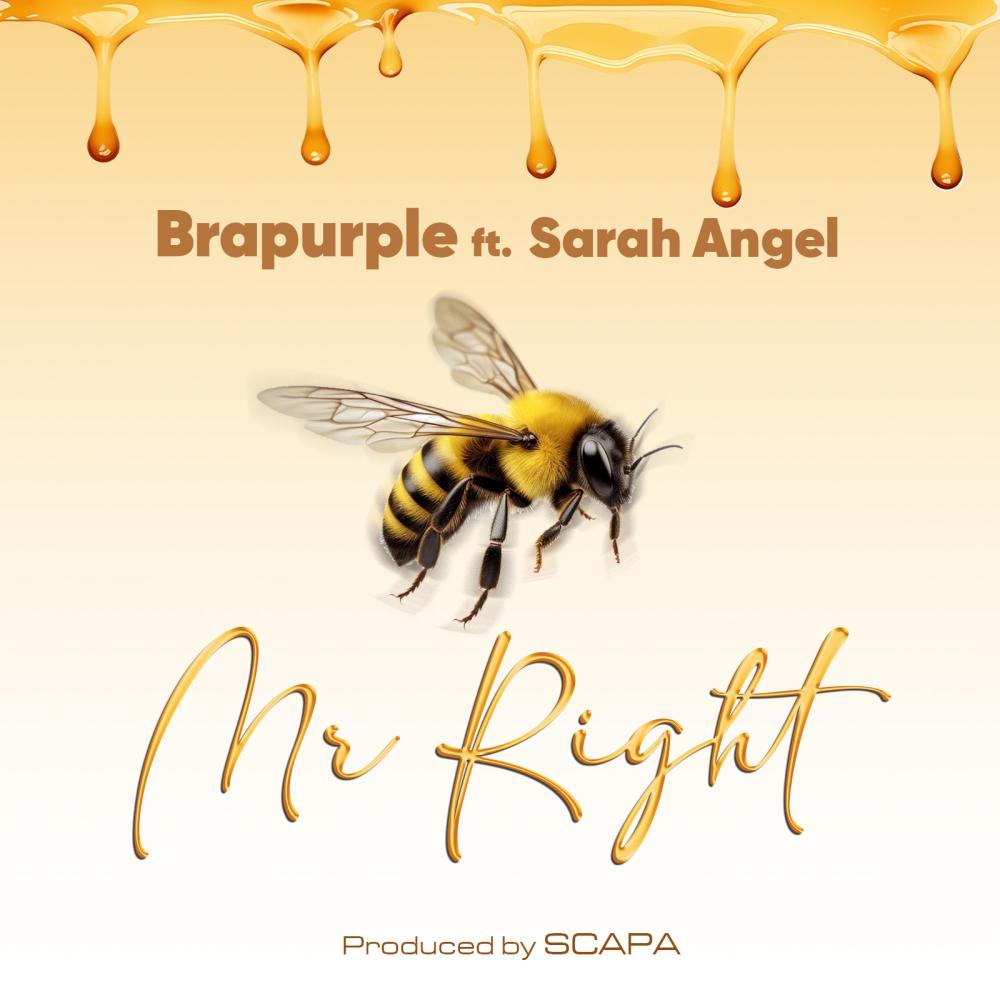 Mr Right (feat. Sarah Angel)