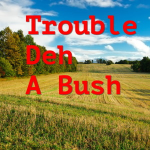 Album Trouble Deh A Bush oleh The Pioneers