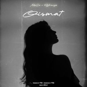 Listen to Qismat song with lyrics from mellzomb