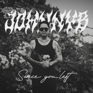 Listen to Since You Left (Explicit) song with lyrics from JohnnyB