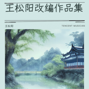 Album 王松阳改编作品集 from 王松阳
