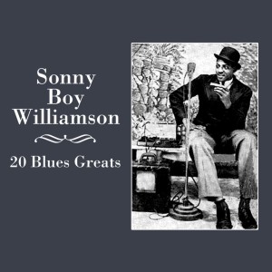 ดาวน์โหลดและฟังเพลง Stop Now Baby พร้อมเนื้อเพลงจาก Sonny Boy Williamson