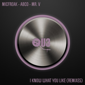 I Know What You Like (Remixes) dari Mr. V