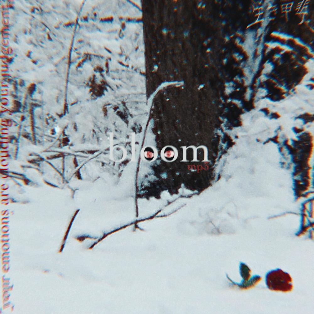 bloom (Explicit)