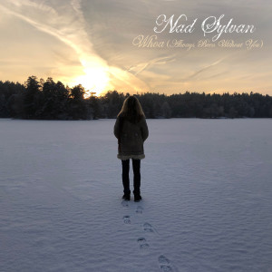 ดาวน์โหลดและฟังเพลง Whoa (Always Been Without You) พร้อมเนื้อเพลงจาก Nad Sylvan