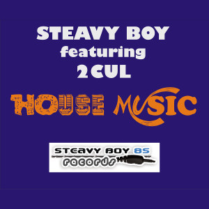 Listen to House Music (Instrumental) song with lyrics from Steavy Boy