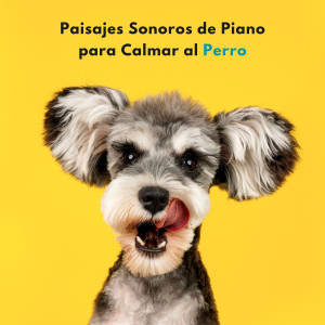 อัลบัม Paisajes Sonoros De Piano Para Calmar Al Perro ศิลปิน Jazz instrumental fácil