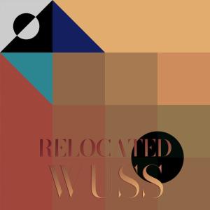 Various的专辑Relocated Wuss
