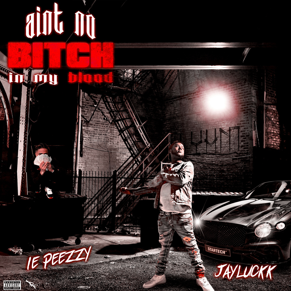Aint No Bitch In My Blood (Explicit)