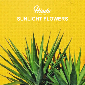 Various Artists的專輯sunlight flowers