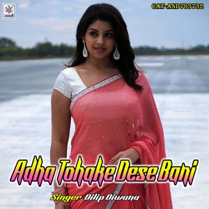 Listen to Adha Tohake Dese Bani song with lyrics from Dilip Diwana