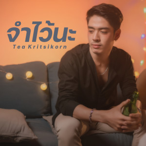ดาวน์โหลดและฟังเพลง จำไว้นะ พร้อมเนื้อเพลงจาก Tea Kritsikorn