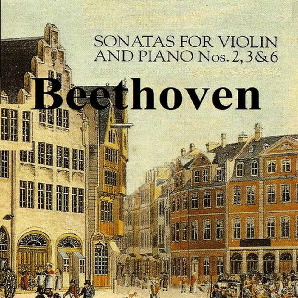 Violin Sonata No. 2 in A Major, Op. 12 No. 2: I. Allegro vivace