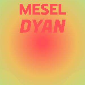 Album Mesel Dyan from 