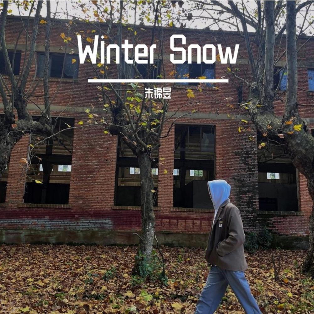 Winter Snow