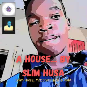Listen to DMNSN (Main Mix) song with lyrics from Slim Husa