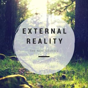 Listen to External Reality song with lyrics from Caz