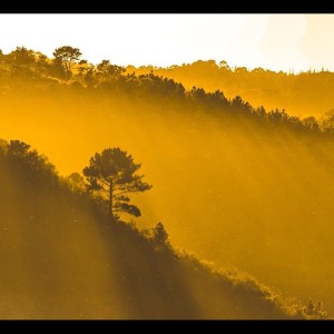 Listen to Together Forever song with lyrics from Study Music & Sounds