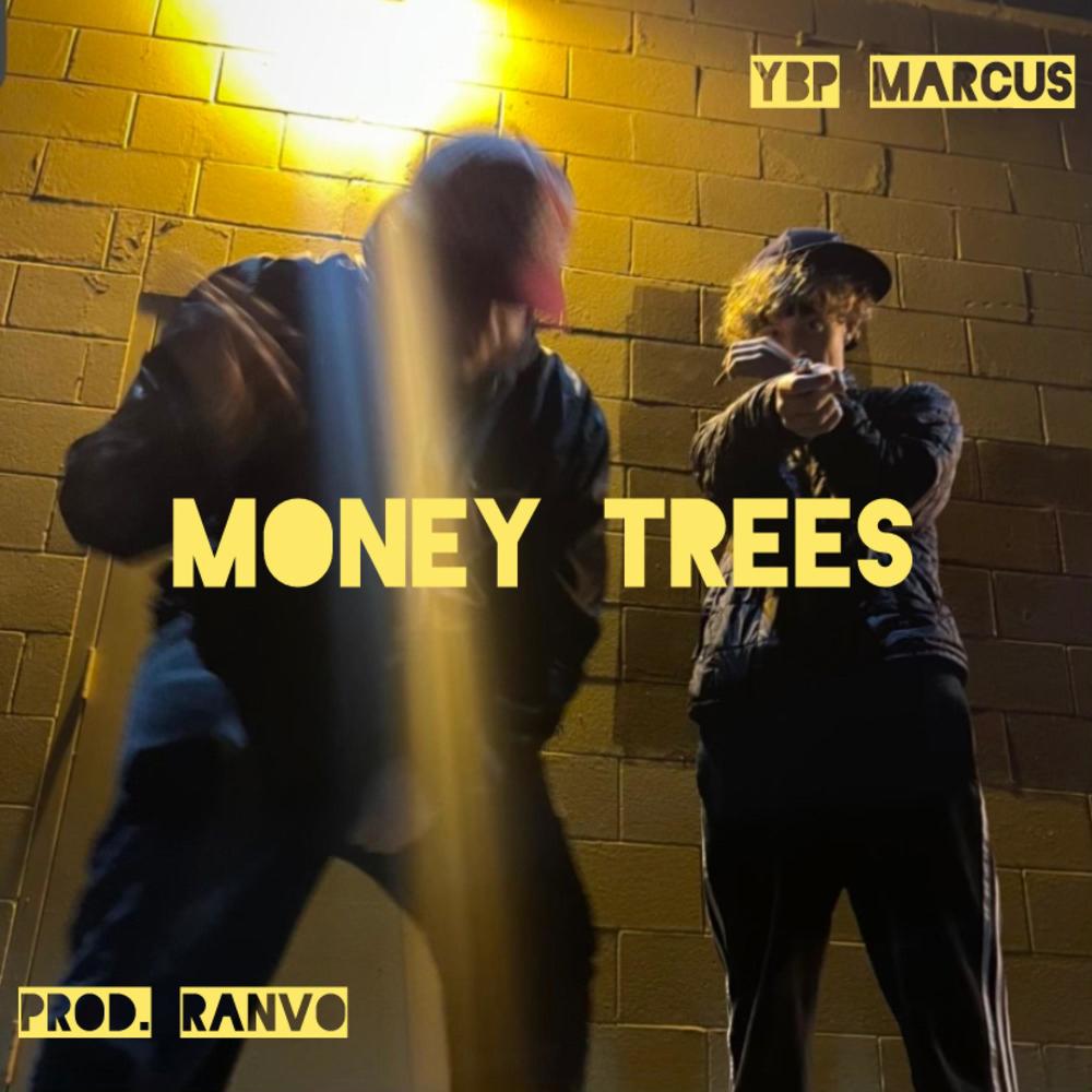 Money Trees (Prod. Ranvo) (Explicit)