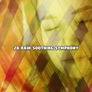 Album 28 Rain Soothing Symphony oleh The Rain Library