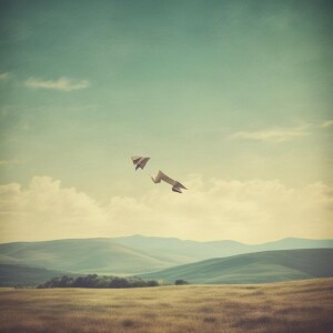Album Cheap seats from 