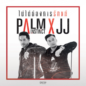 收聽ปาล์ม อินสติงค์的ไม่ได้ต้องการรักแท้歌詞歌曲